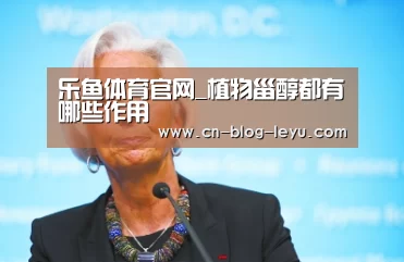 乐鱼体育官网
